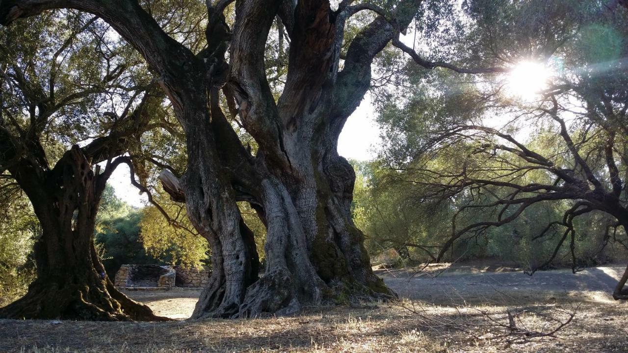 Il Giardino All'Angolo Villacidro Exterior foto